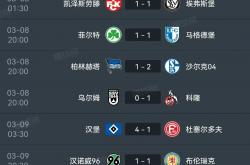 九游网站入口-包含汉堡球队稳定发挥，夺得胜利的词条